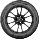 Eagle F1 Asymmetric 6