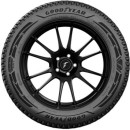 UltraGrip Arctic 2