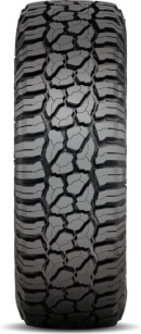 Wildpeak R/T01